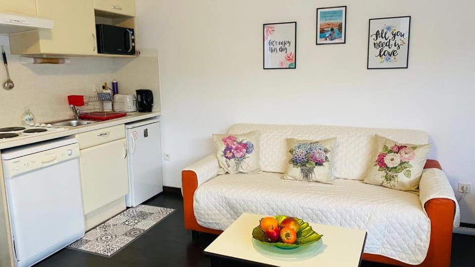 Superbe appart avec de parking gratuit sur place Apartment in Lourdes