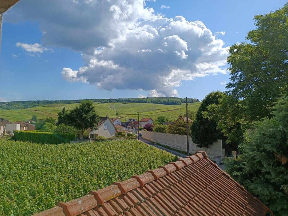 Gîte indépendant Diz'enreves au cœur des vignes Apartment in Grand Est
