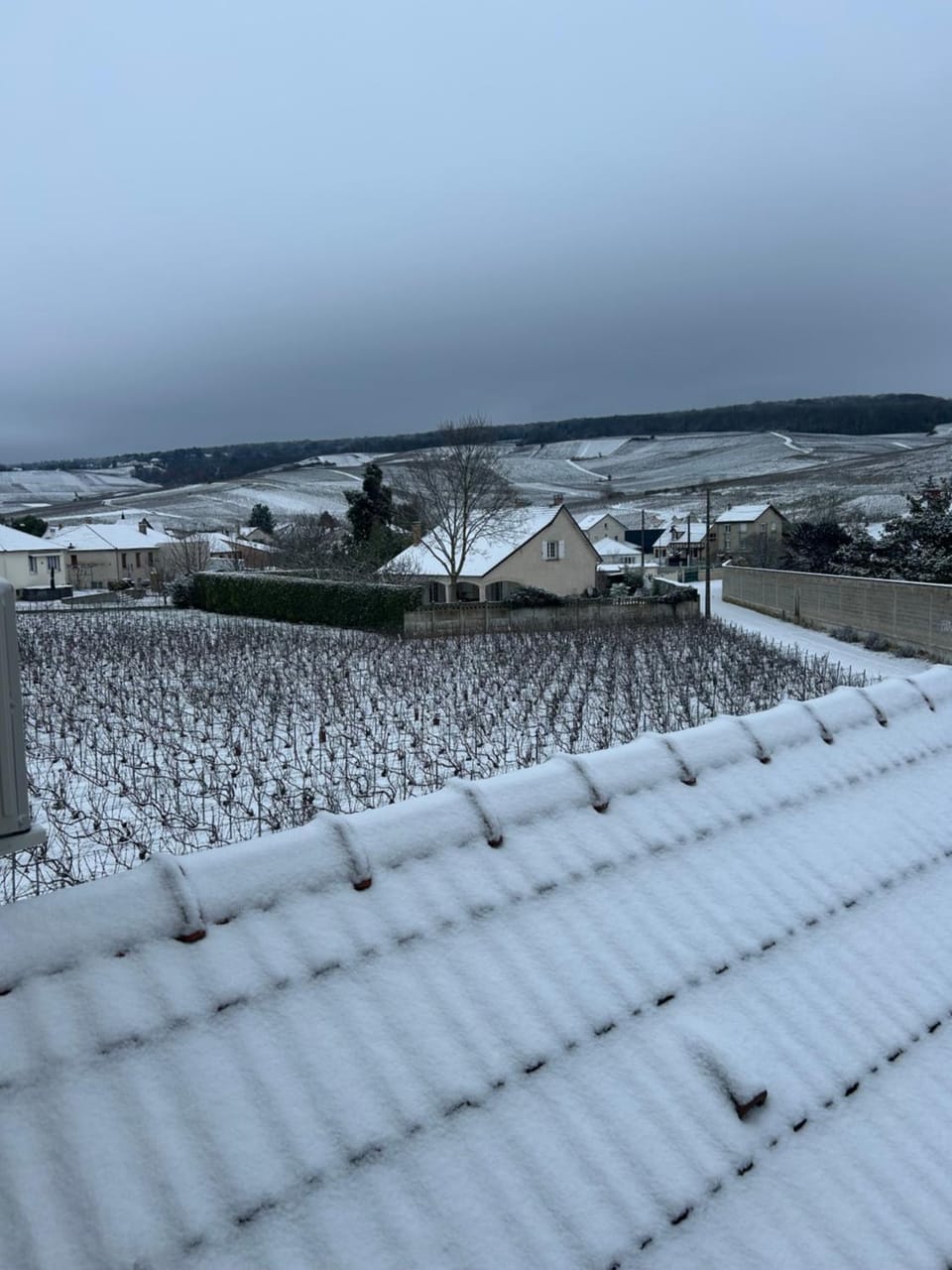 Gîte indépendant Diz'enreves au cœur des vignes Apartment in Grand Est