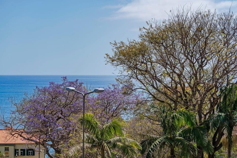Natural landscape, Sea view
