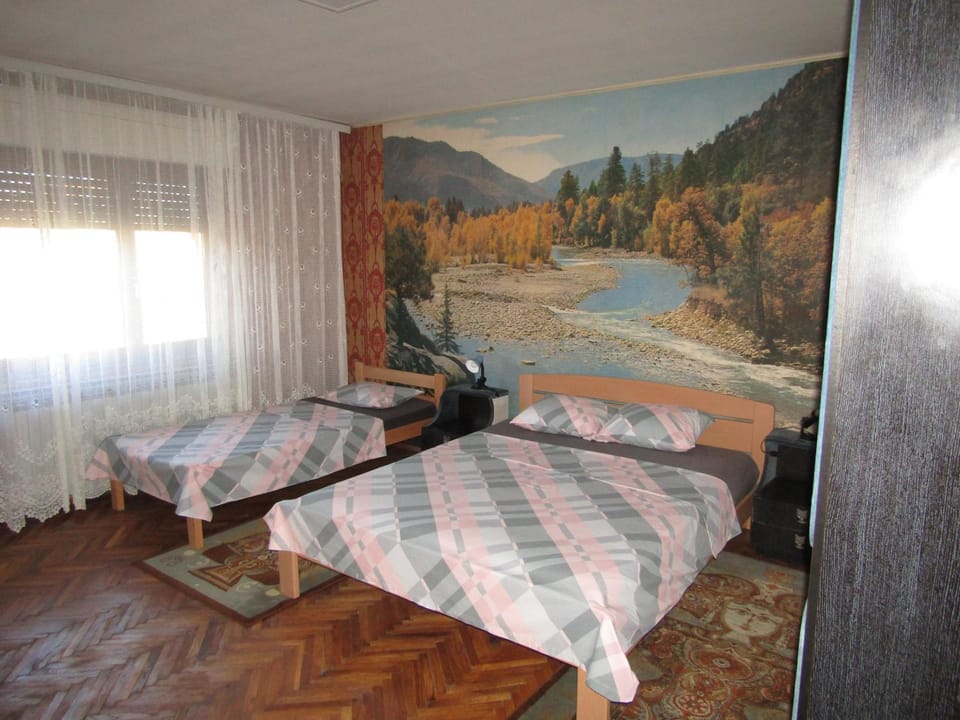 Apartman Milena Apartment in Serbia