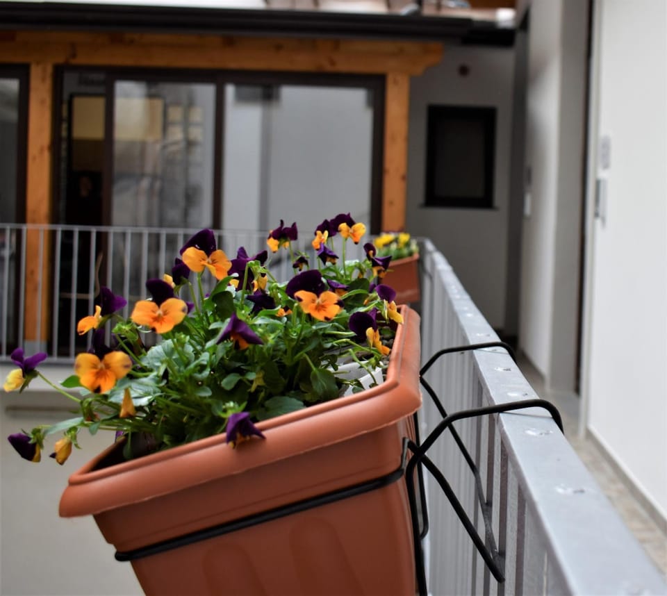 Property building, Balcony/Terrace, Internal: Not applicable to any particular room