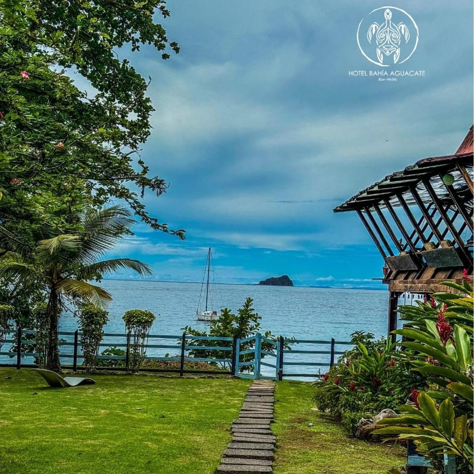 Natural landscape, Garden, Sea view