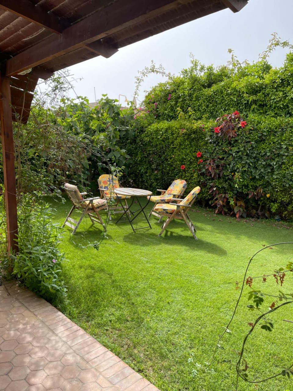 Patio, Spring, Day, Garden, Seating area, Garden view, sunbed