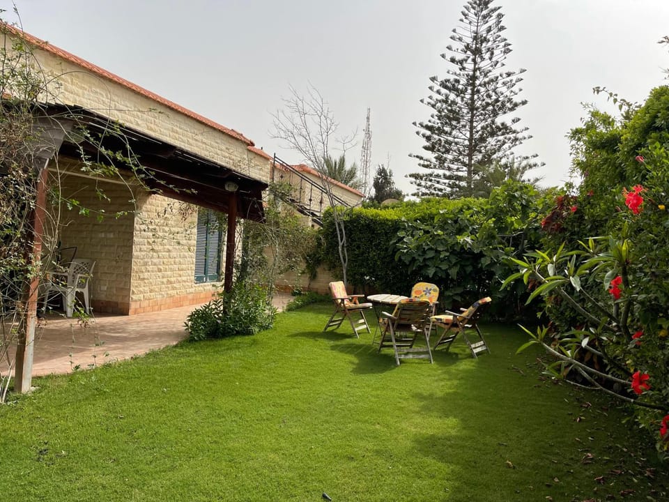 Property building, Patio, Spring, Day, Garden, Garden view