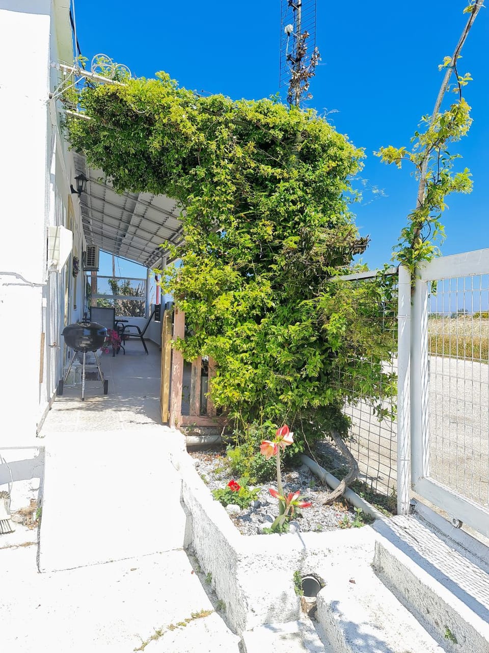 Patio, Garden, Balcony/Terrace