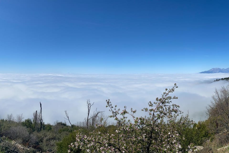 Million Dollar Mountain View House in Crestline