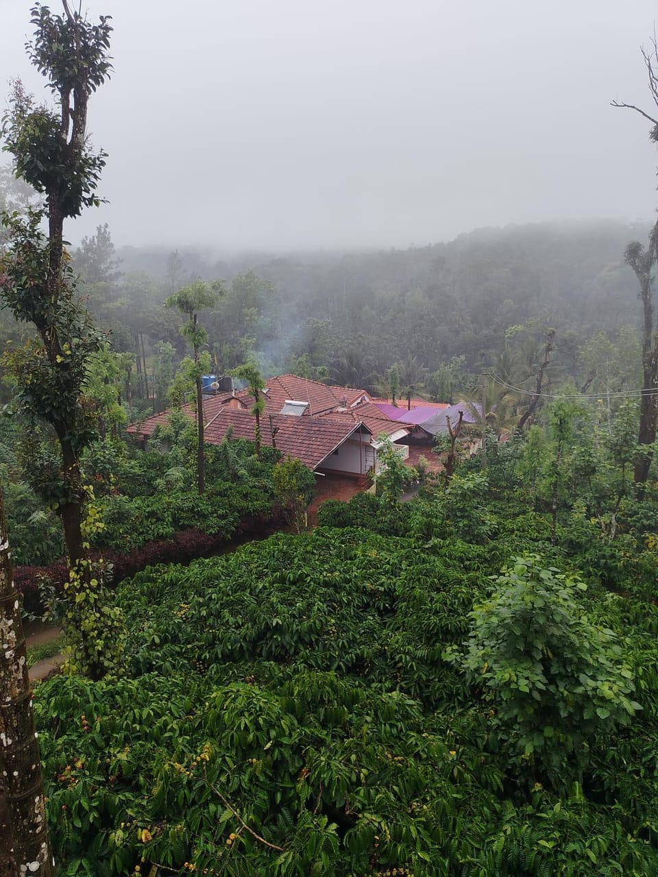Shivalaya Homestay House in Karnataka