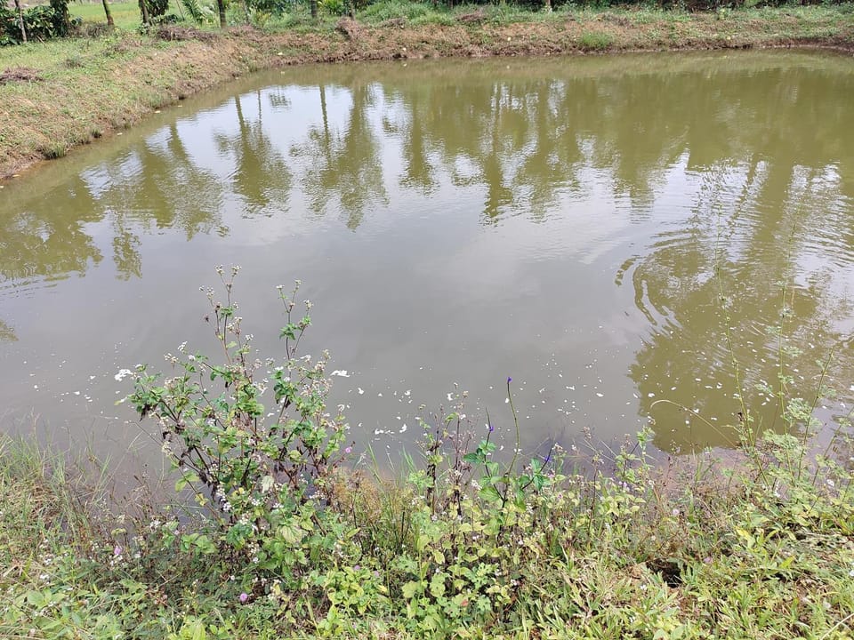 Shivalaya Homestay House in Karnataka