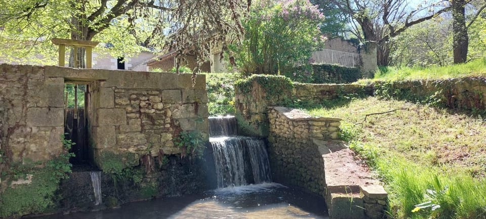 Natural landscape, Garden, Garden view
