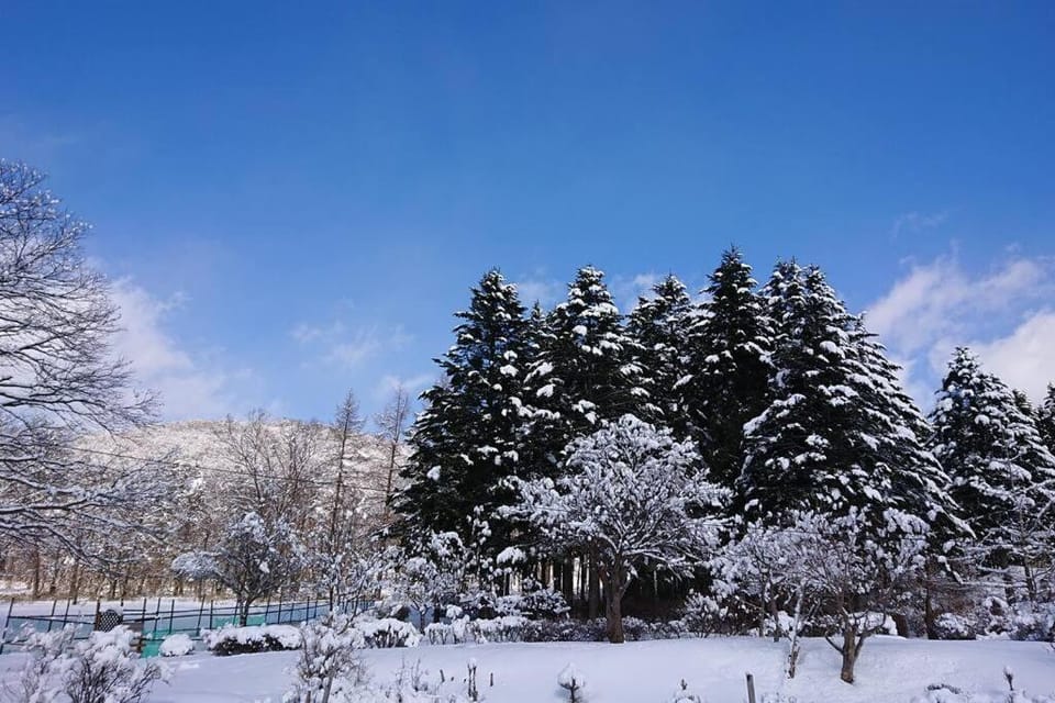 NOBORIBETSU no MORI House in Hokkaido Prefecture