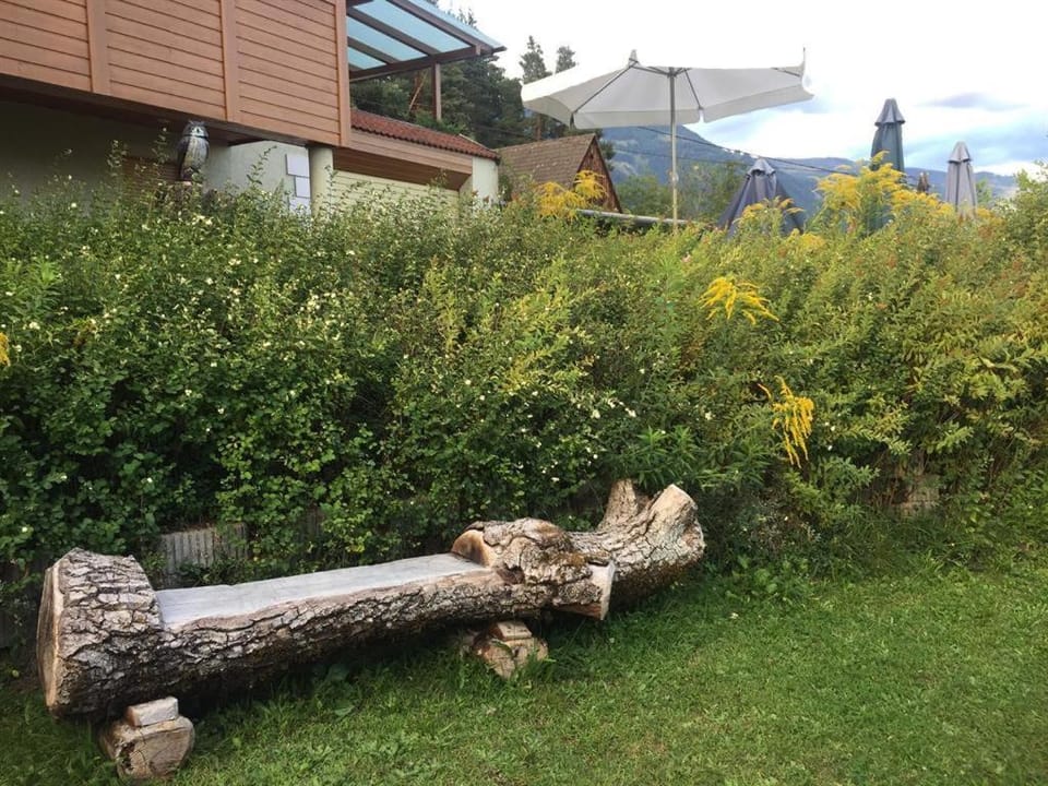 Cottages - Chalets Mag. Scholz House in Carinthia, Austria