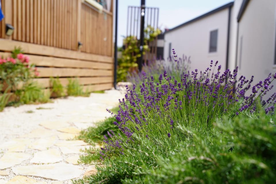 Property building, Garden