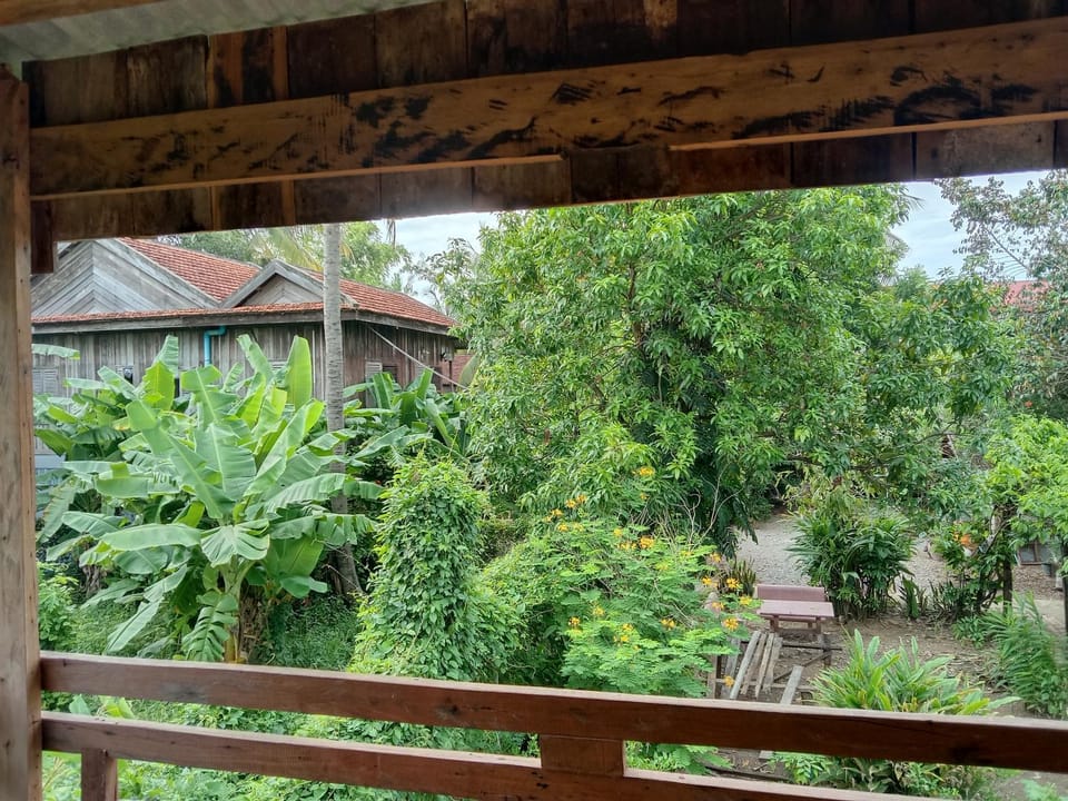 Balcony/Terrace, Garden view
