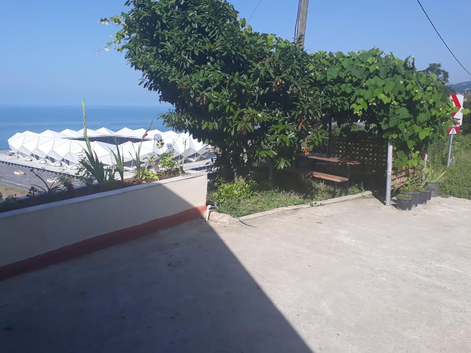 Patio, Garden