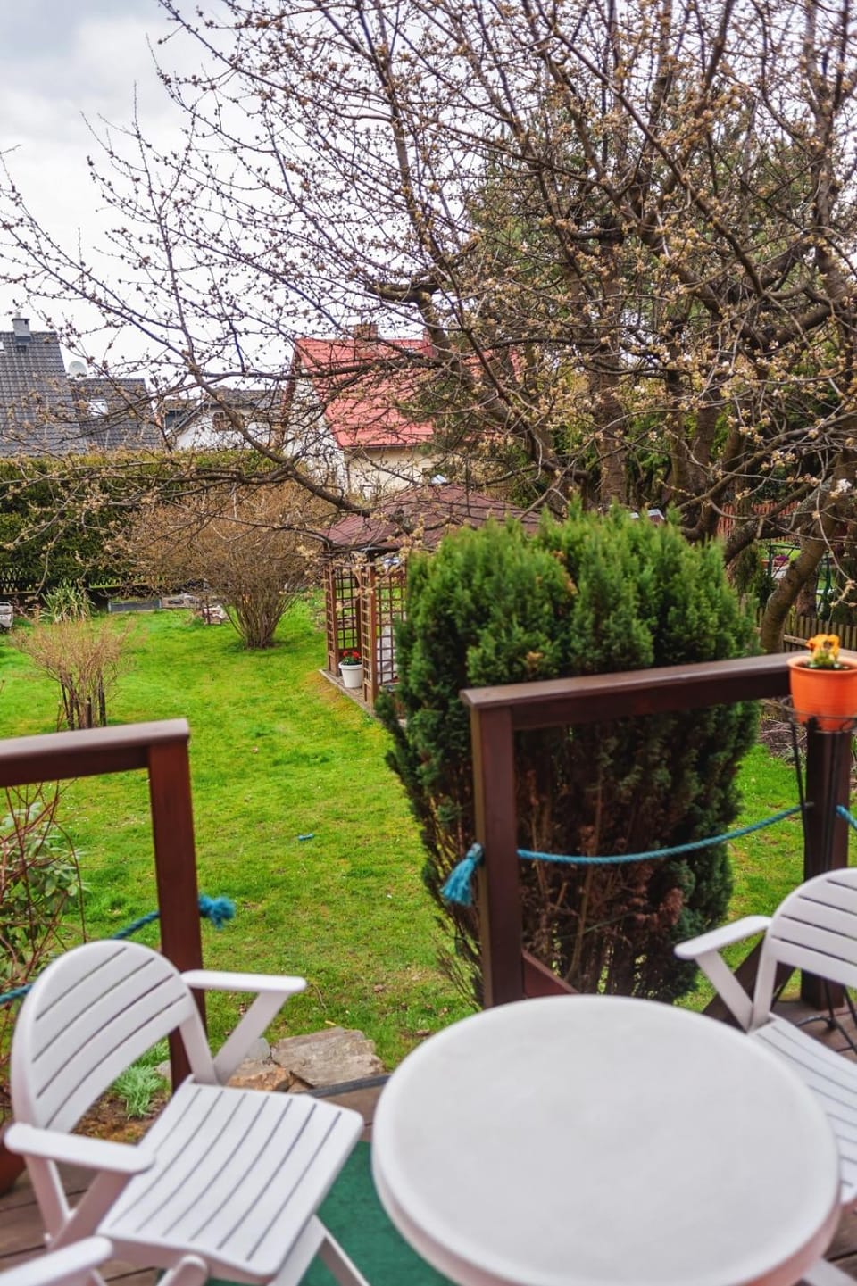 Patio, Garden, Garden view