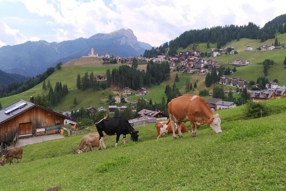 Natural landscape, View (from property/room), Mountain view