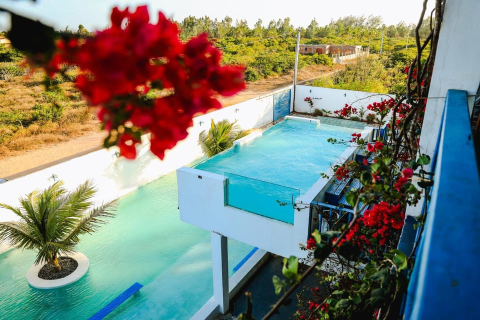 Garden, Garden view, Pool view, Swimming pool