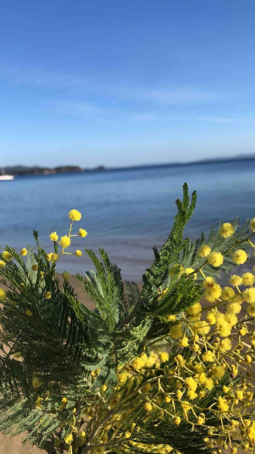 Maison la Londe House in La Londe-les-Maures