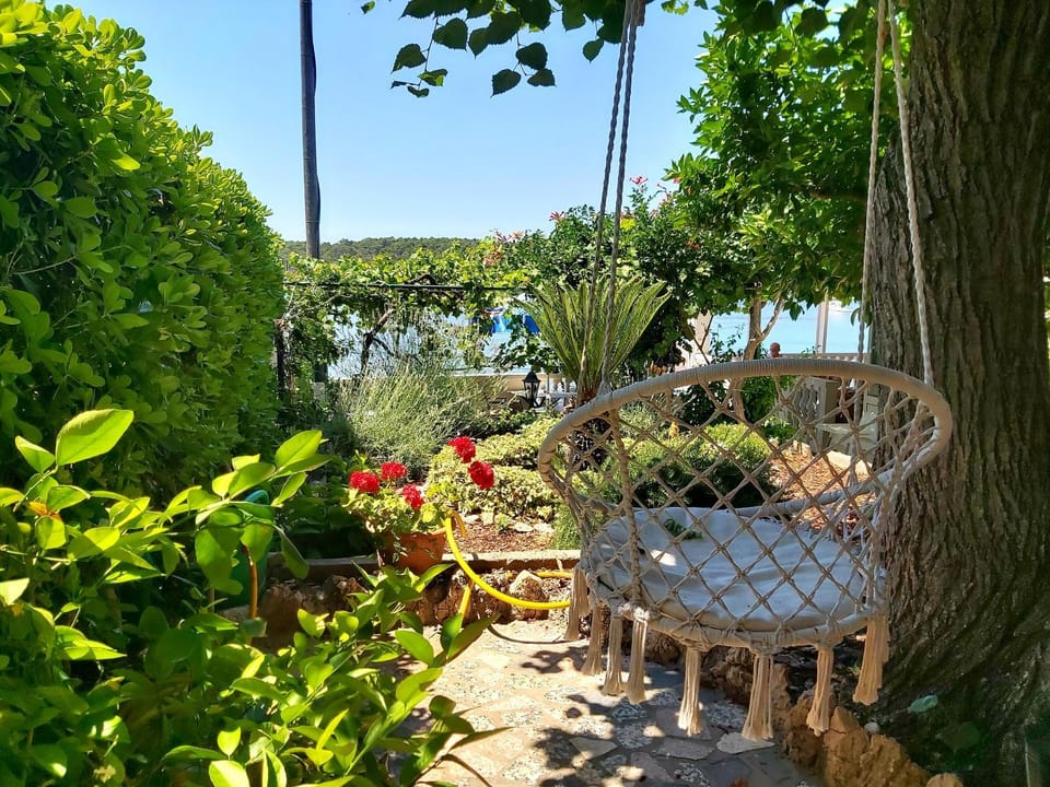 Patio, Day, Garden, Garden view