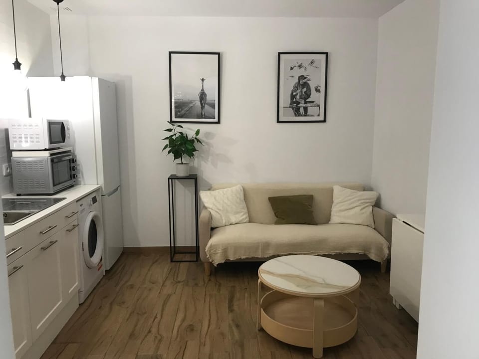 Kitchen or kitchenette, Living room, minibar, pet friendly, washing machine, dryer