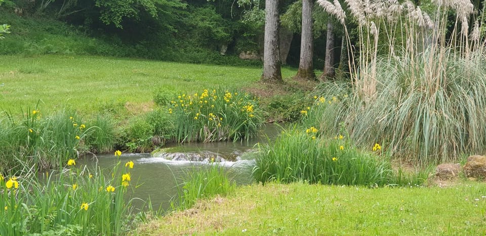 Natural landscape, River view