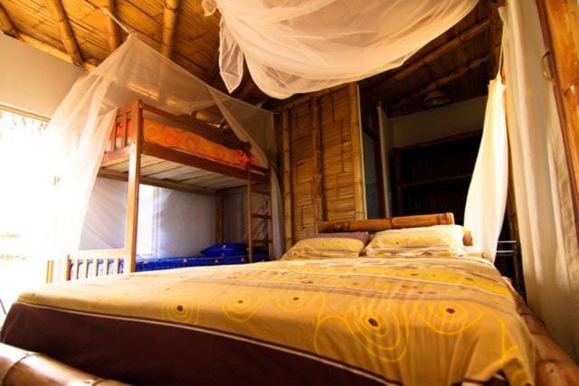 bunk bed