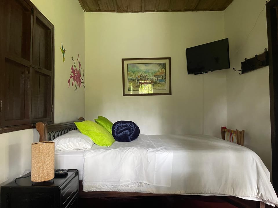 TV and multimedia, Photo of the whole room, Bedroom
