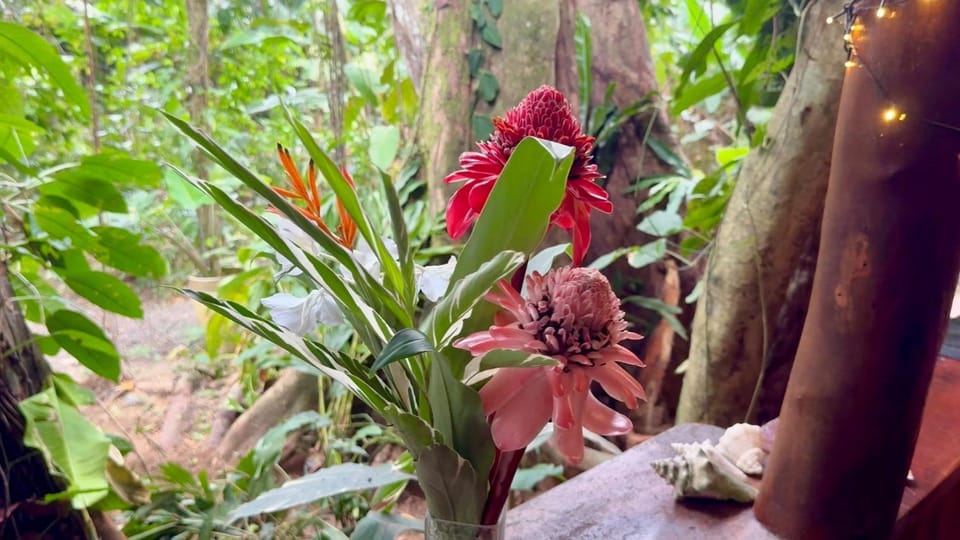 Natural landscape, Garden, Garden view