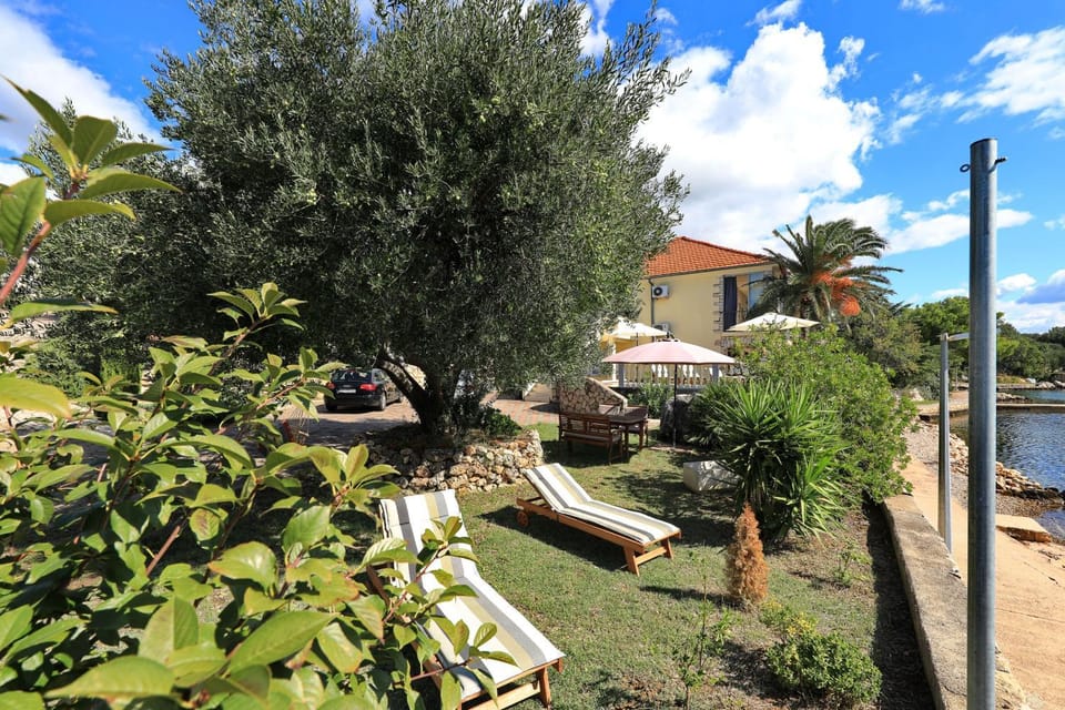 Patio, Garden, Garden, Garden view