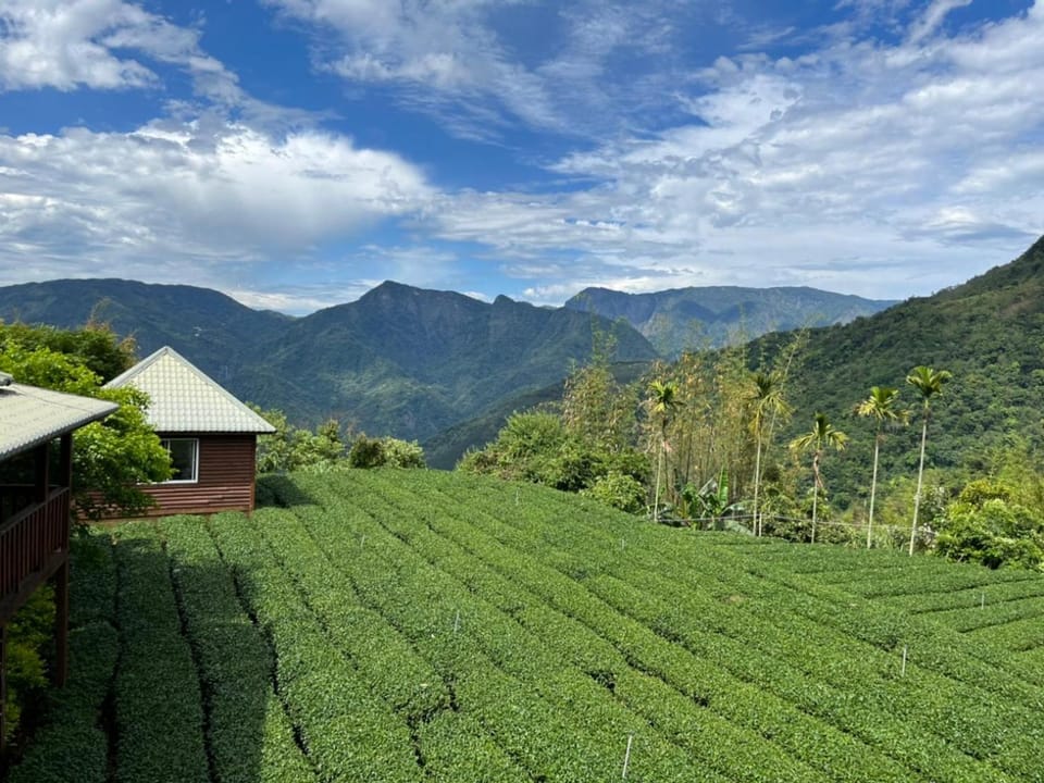 Natural landscape