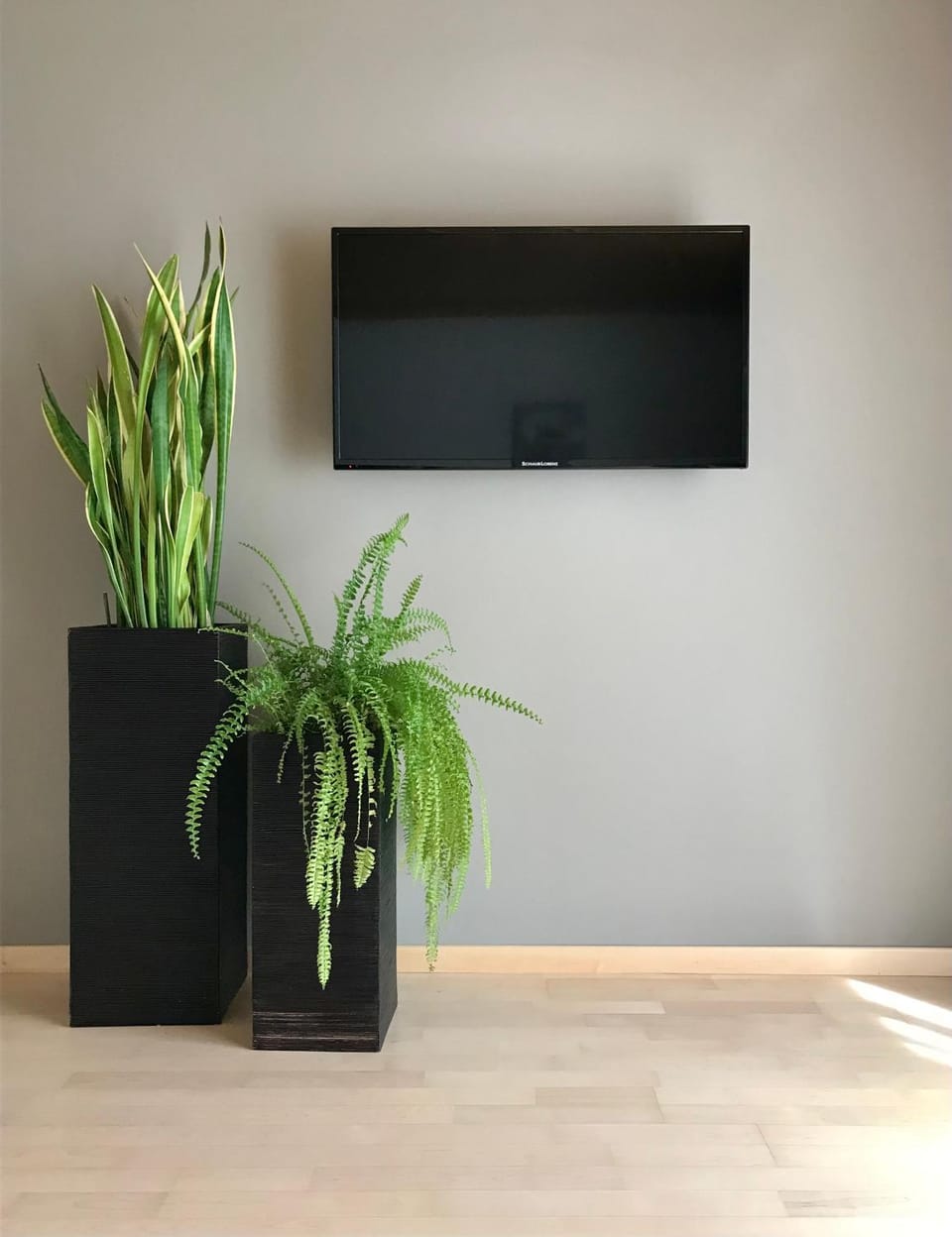 TV and multimedia, Living room