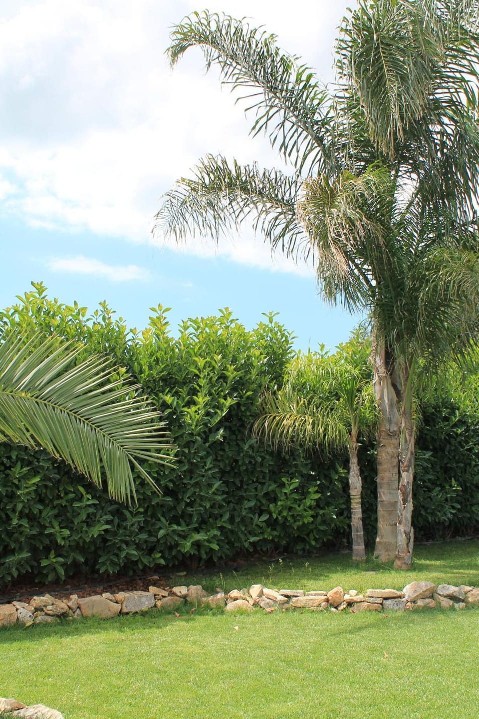 B&B La Nuova Fattoria Bed and Breakfast in Province of Taranto