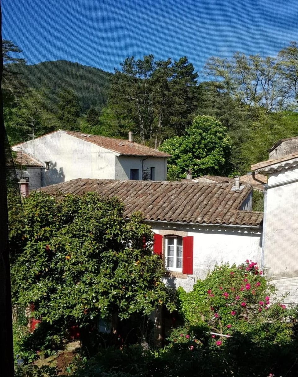 Neighbourhood, Mountain view, kitchen