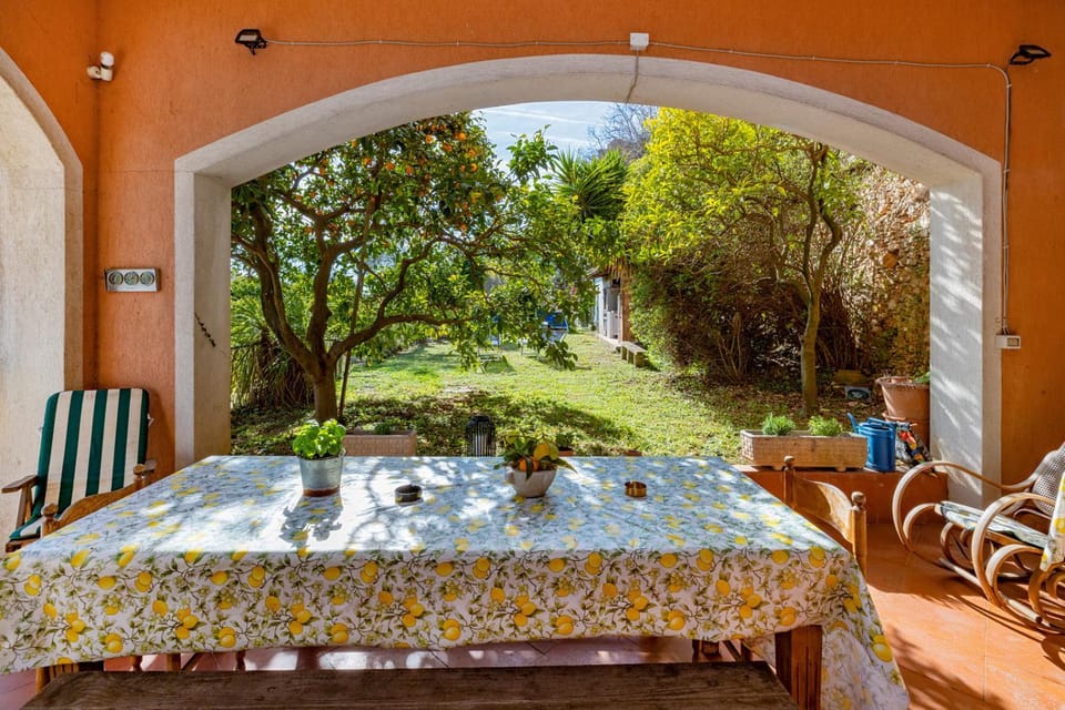 Patio, Garden, Dining area, Garden view