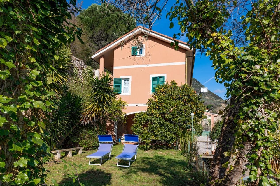 Property building, Spring, Day, Natural landscape, Garden, Garden view, sunbed
