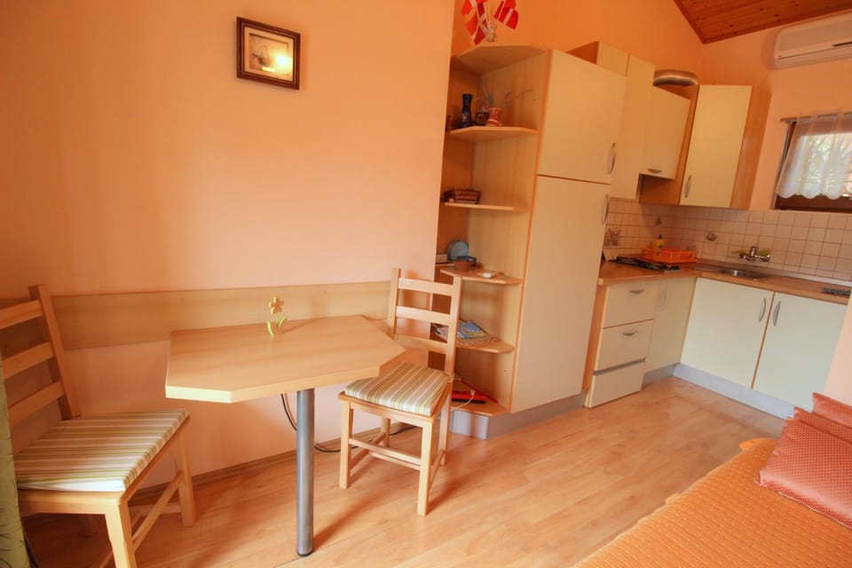 IRENA A2 Apartment in Novigrad