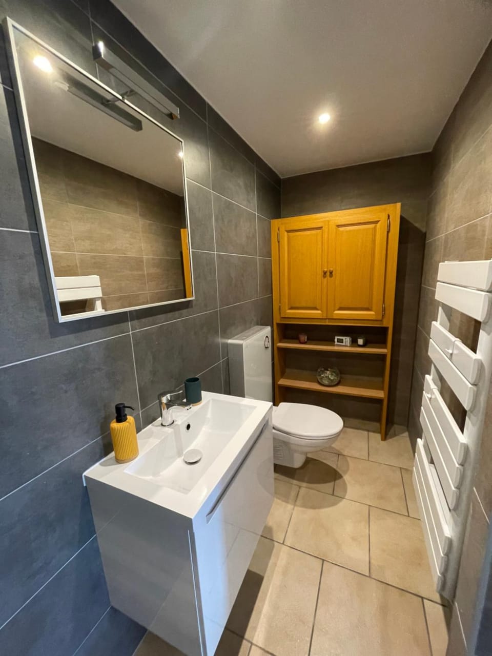 Studio Terrasse Vue Lac Entrée indépendante Apartment in Fribourg, Switzerland