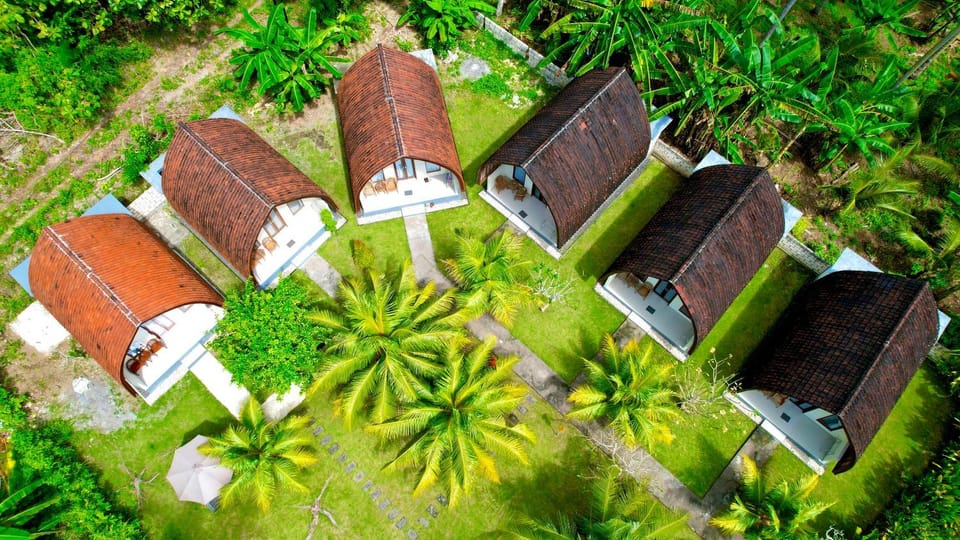 Property building, Spring, Day, Garden, Garden view