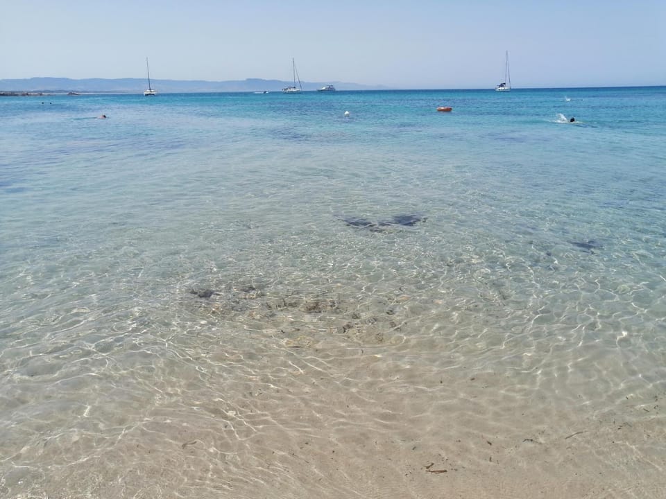 Casa vacanze Calarossa (Sardegna) House in Sardinia