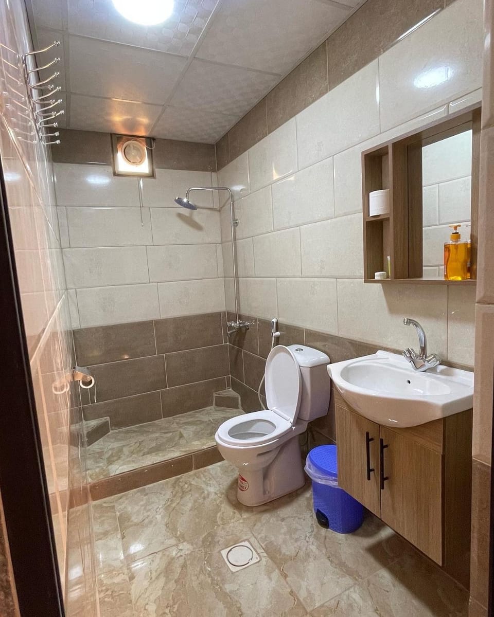 Shower, Toilet, Bathroom, bidet