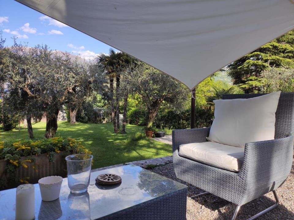 Patio, Garden, Garden view