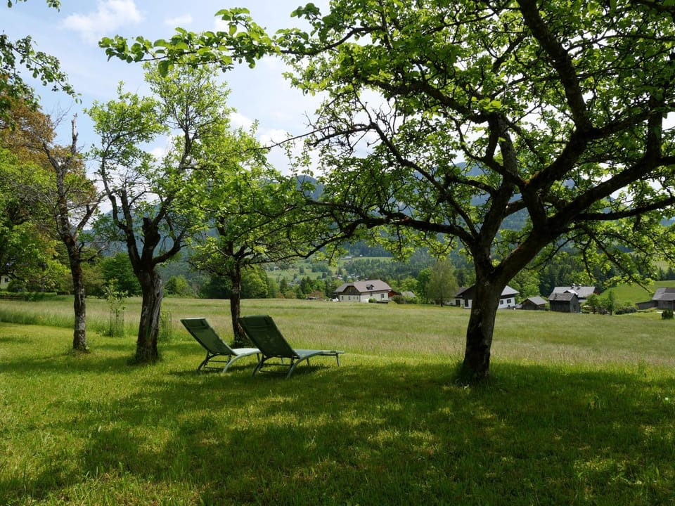 Spring, Day, Natural landscape, Garden, sunbed