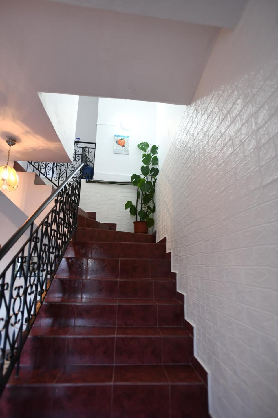 Guest House Luli Apartment in Europe