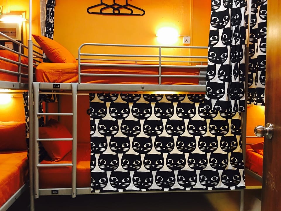 bunk bed