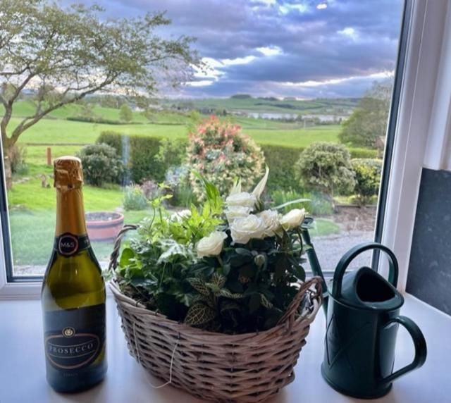 AIRDSIDE COTTAGE House in England