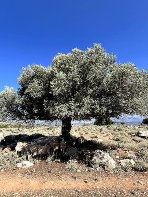 Natural landscape