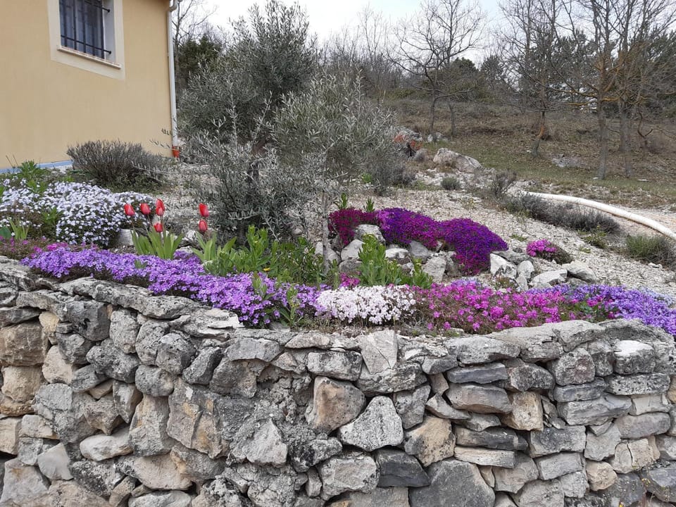 Maison jaune Vacation rental in Provence-Alpes-Côte d'Azur