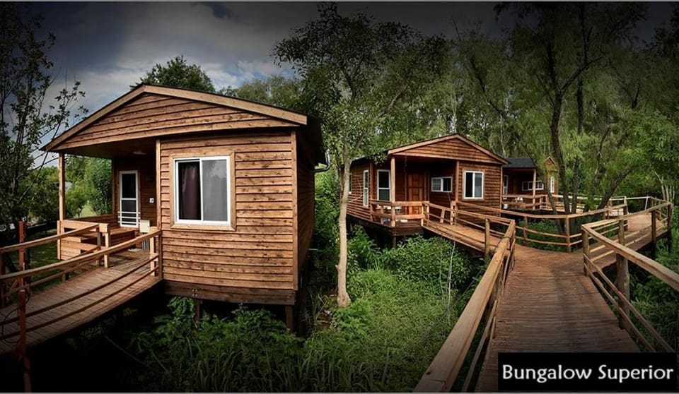 Cabañas Faro Delta Nature lodge in Rincón de Milberg