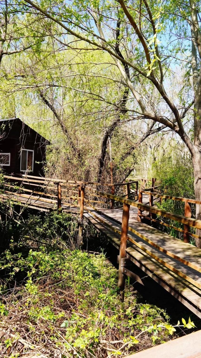 Cabañas Faro Delta Nature lodge in Rincón de Milberg